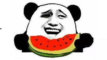 吃瓜时刻,吃瓜时刻背后的真相与八卦